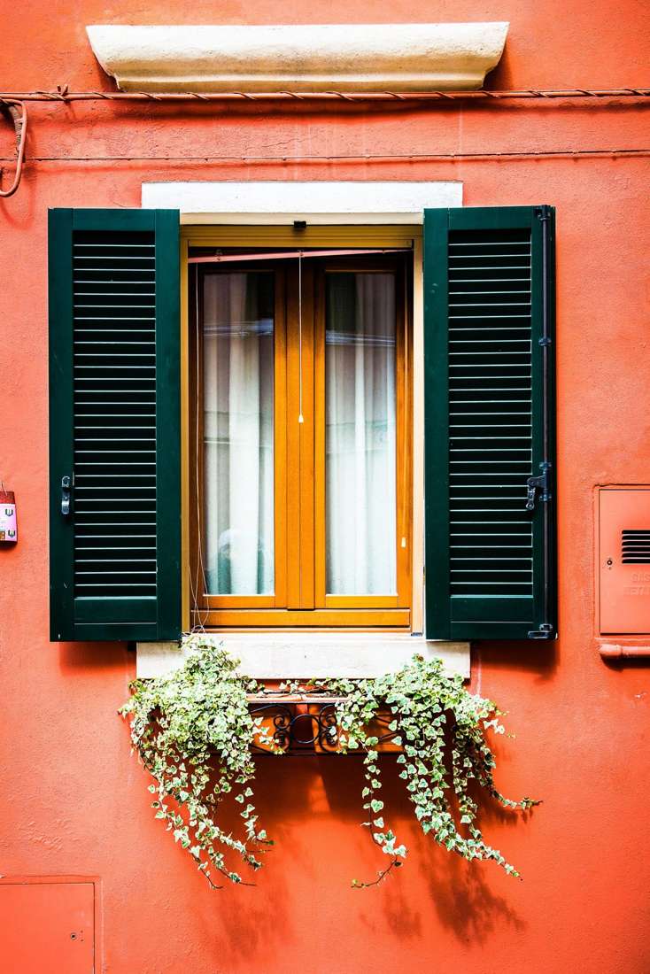 Ivy and open shutters on a coral wall