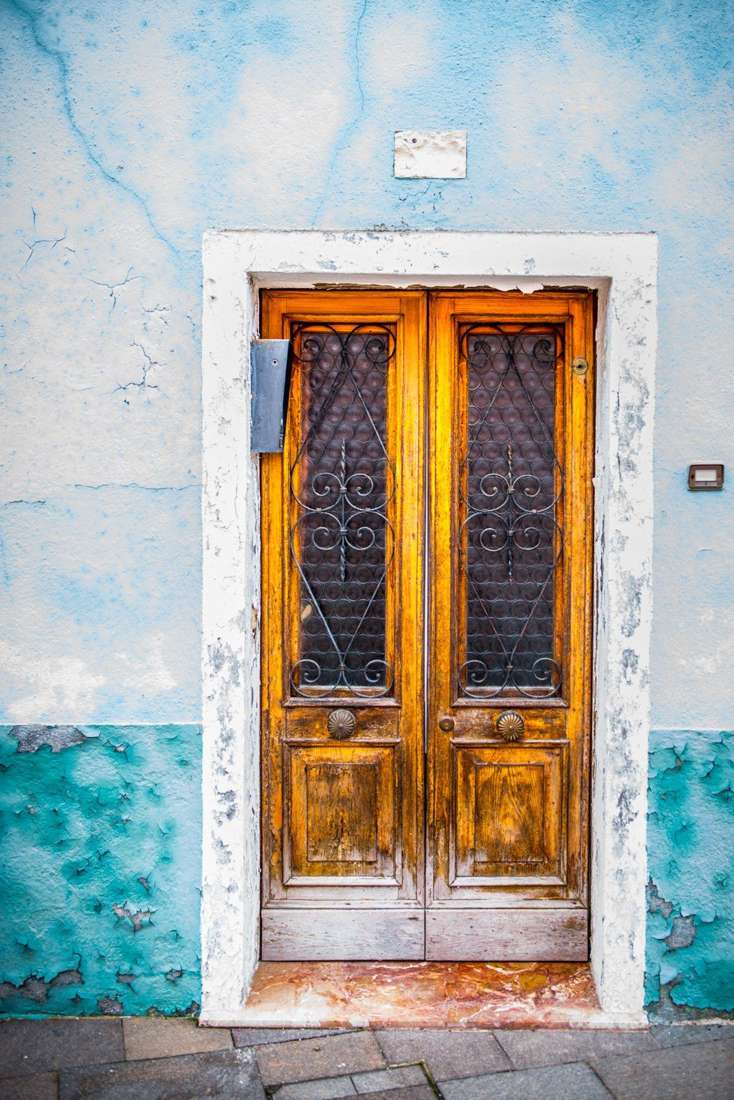 Wooden door with iron grilles