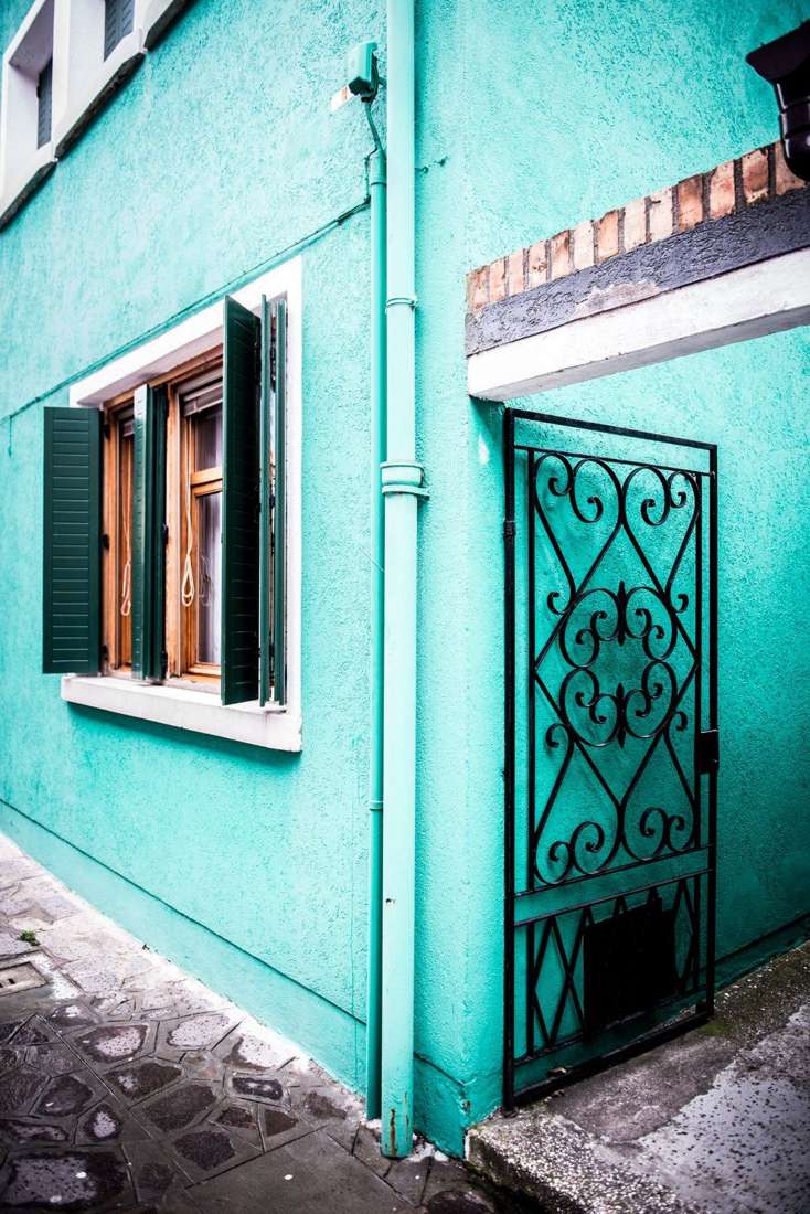 Iron gate on a mint wall