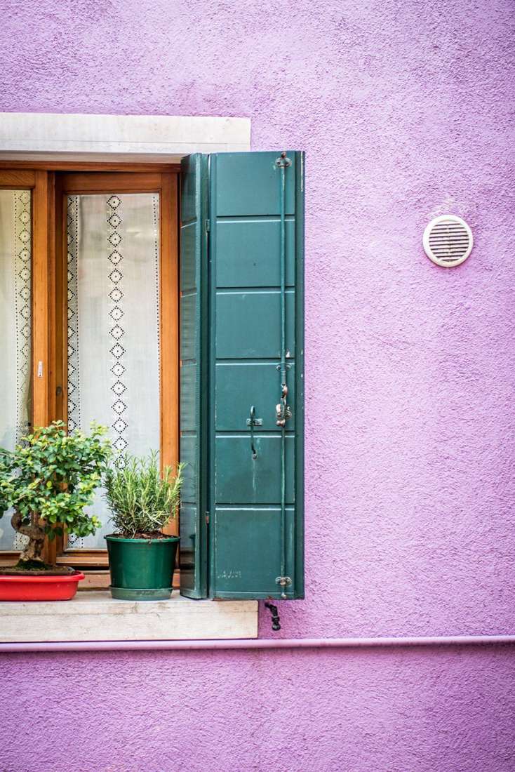 Purple wall and green shutter